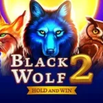 Online-Casino-Slot-Game-BNG-Black-Wolf-2